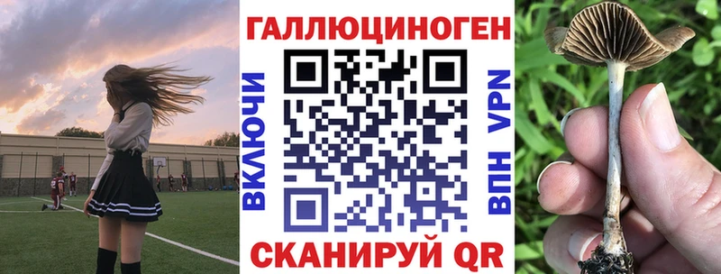 Галлюциногенные грибы мухоморы закладка hydra tor Зеленодольск